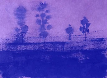 Silhouettes du crépuscule
