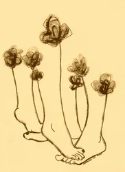 Fleurs fantaisistes en forme de pieds