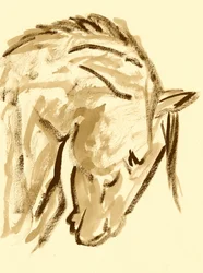 Esquisse de cheval sauvage