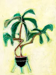 Plante en pot moderne