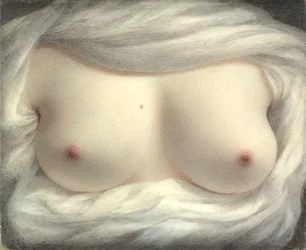 Beauté révélée, 1828