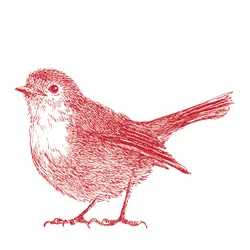 Rouge-gorge