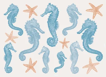 Hippocampes et étoiles de mer
