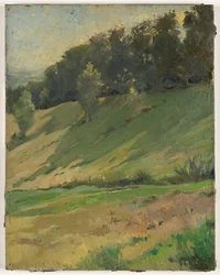 Vue de Llandrindod Wells : The Upper Link, vers 1900 (peinture)