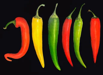 Cinq piments, 2024 (huile sur toile)