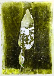 Feuille abstraite