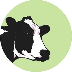 Vache