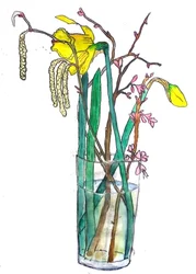 Jonquilles