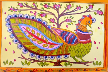 Paon indien, 2019