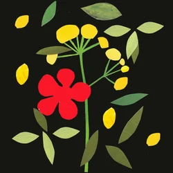 pétales et feuilles, 2019