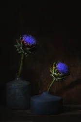 Sombres fleurs d