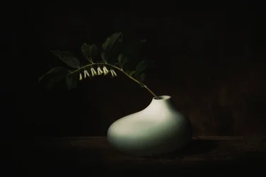Délicate nature morte sombre aux fleurs
