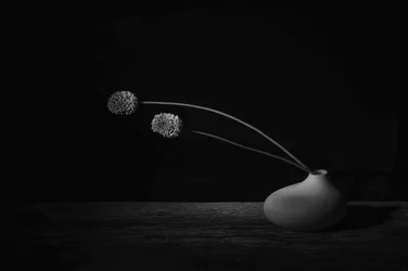 Élégante nature morte florale