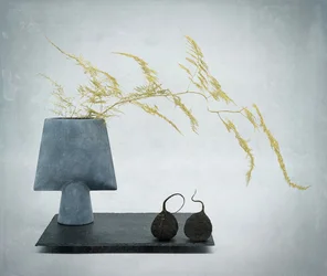 Élégante nature morte organique
