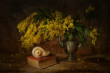 Nature morte au mimosa doré