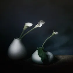 Fleurs d