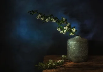 Nature morte florale mélancolique