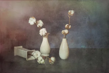 Vases en coton naturel
