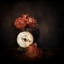Pivoines roses sur une balance