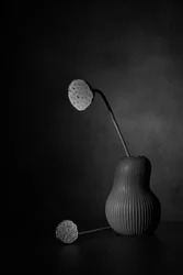 Nature morte silencieuse au lotus