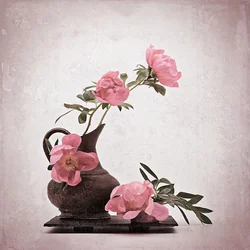 Pivoines rose tendre