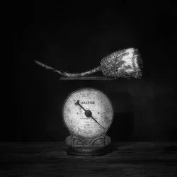 Balance vintage à l