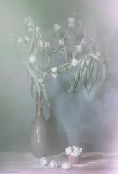 Lueur hivernale