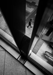 City Walker encadré