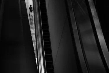 Le chemin de l