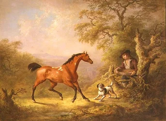 Un palefrenier nourrissant un cheval