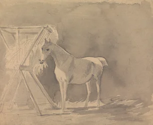 Un cheval broutant