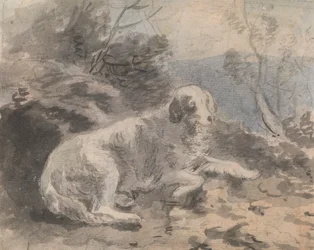 Un setter dans un paysage