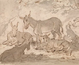 Ânes