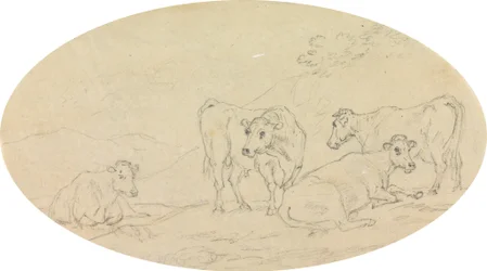 Quatre vaches dans un champ