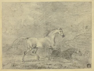 Chevaux
