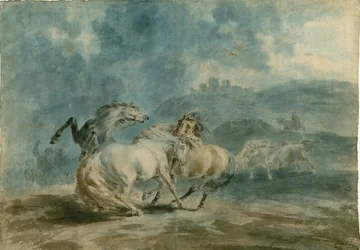 Chevaux se battant