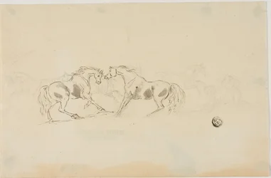 Chevaux se battant