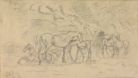 Chevaux dans un pré