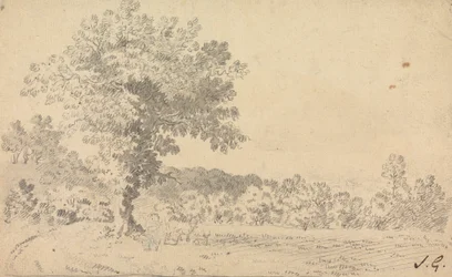 Paysage avec des cerfs