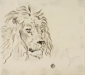 Tête de Lion