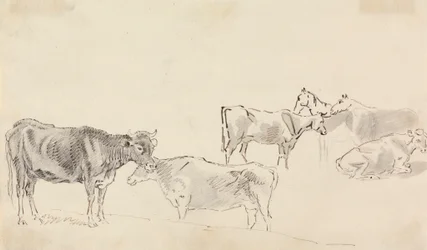Étude de bétail avec des chevaux en arrière-plan