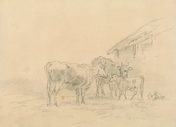 Deux vaches et un veau