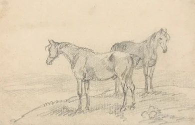 Deux chevaux