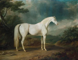 Cheval blanc dans un paysage boisé, 1791