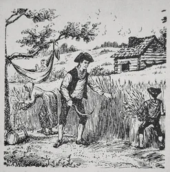 Une famille récoltant du maïs