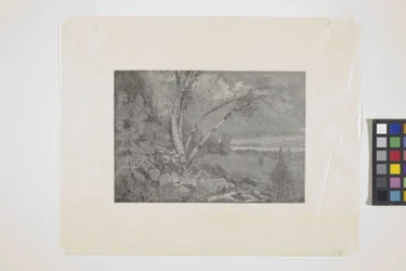 Paysage