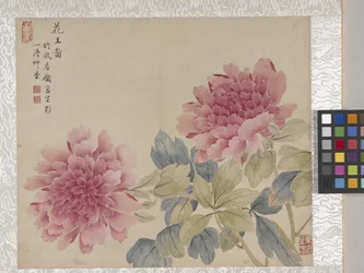 Album de 8 feuilles de fleurs, milieu des années 1700