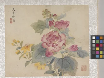 Album de 8 feuilles de fleurs, milieu des années 1700