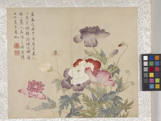 Album de 8 feuilles de fleurs, milieu des années 1700