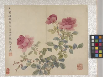 Album de 8 feuilles de fleurs, milieu des années 1700